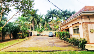 WhatsApp Image 2025-12-10 at 13.36.00.jpeg